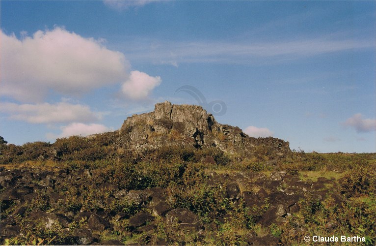 image08