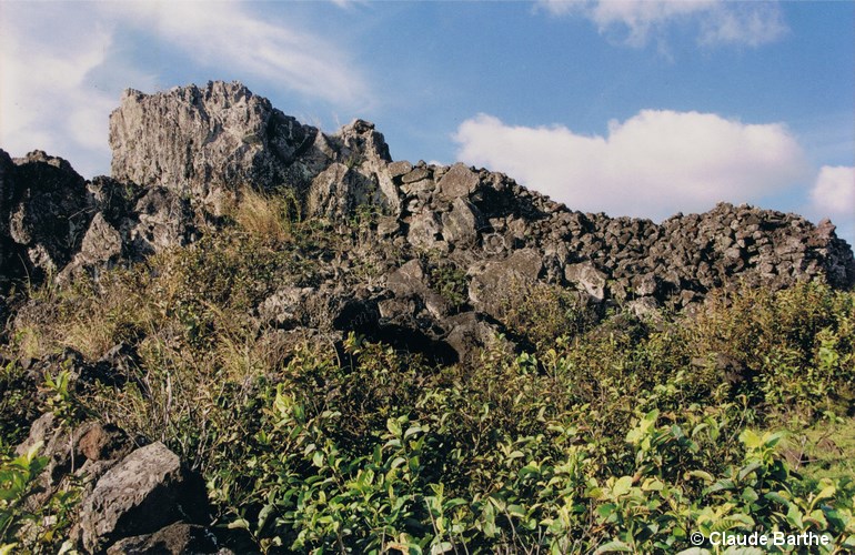 image09