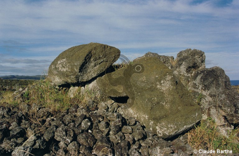 image06