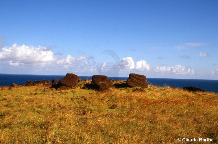 image02