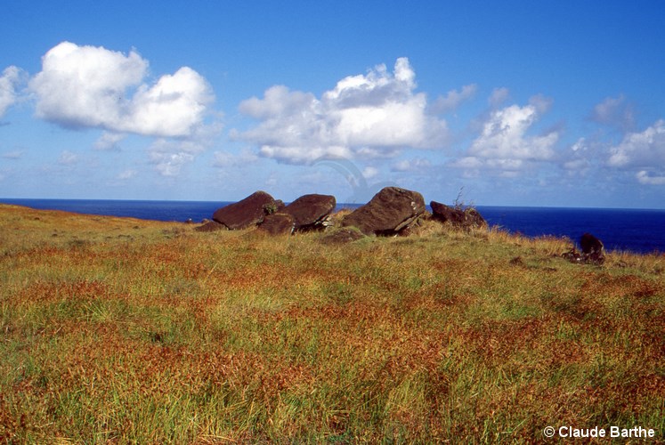 image03