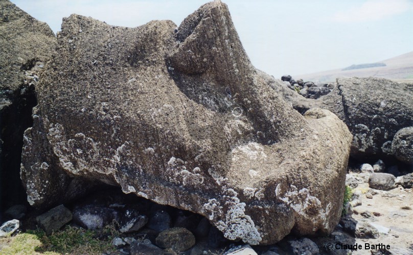 image07
