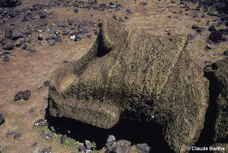 image09