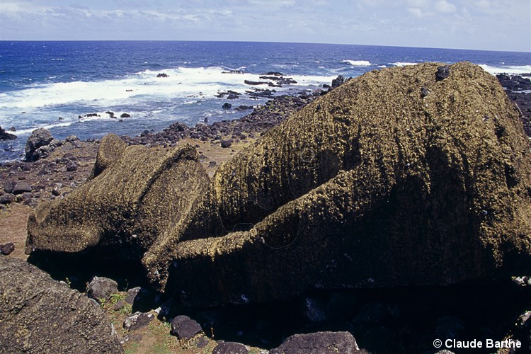 image08