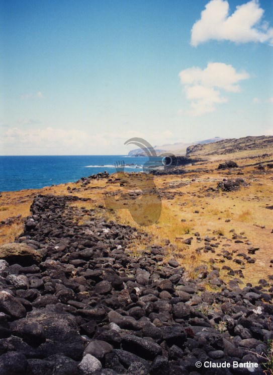 image02