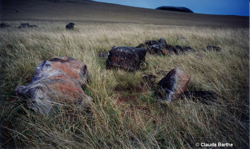 image04