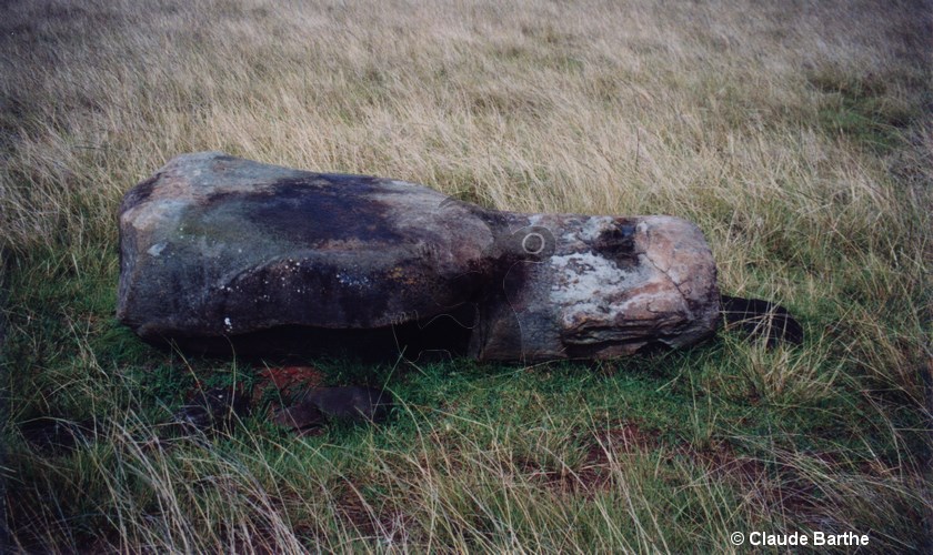 image06