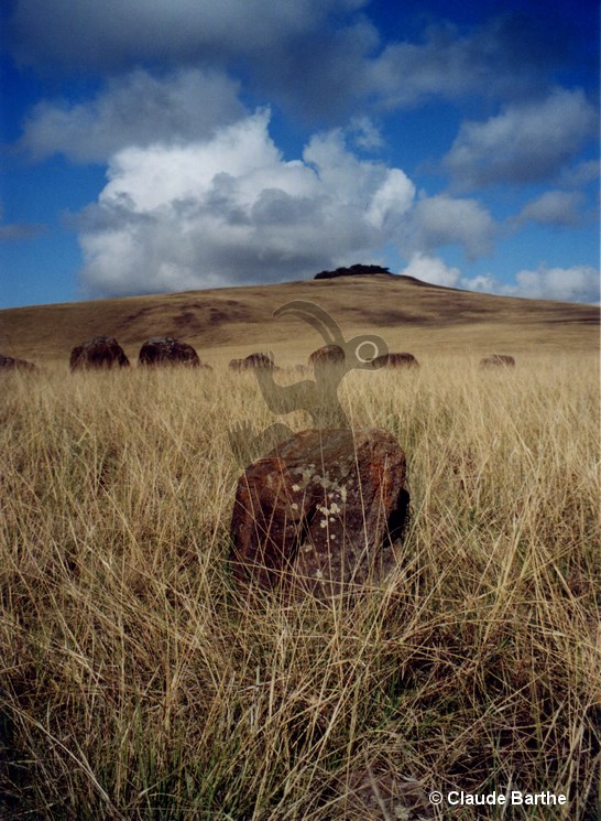 image02