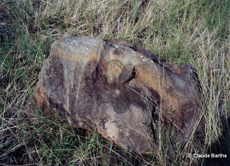 image05