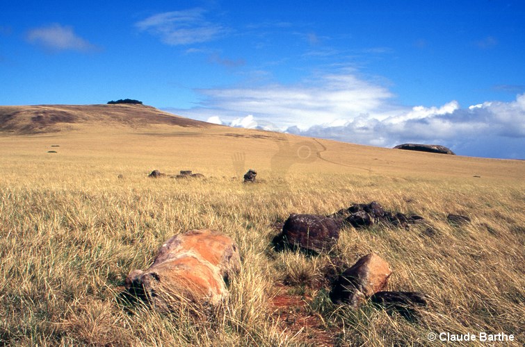 image03