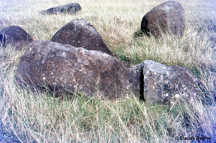 image07