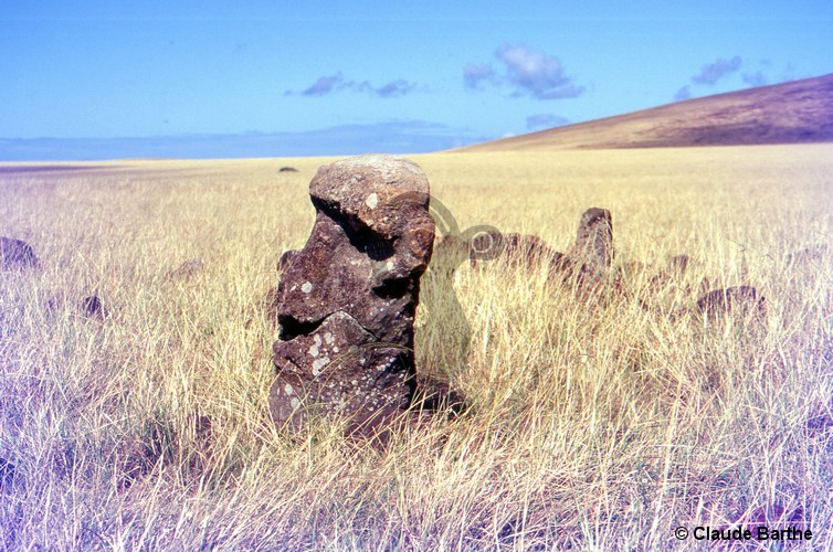 image09