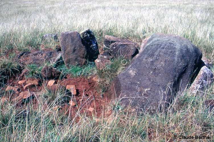image10