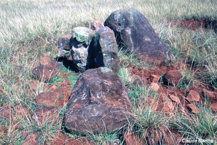 image11