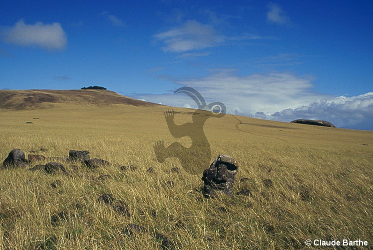 image08