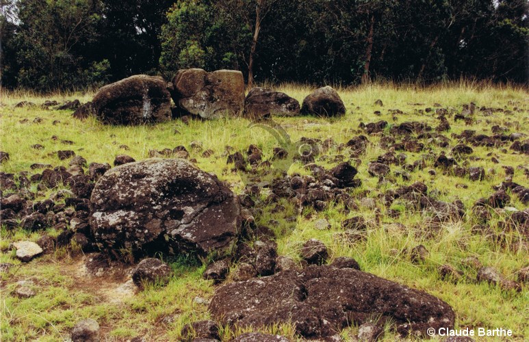 image01