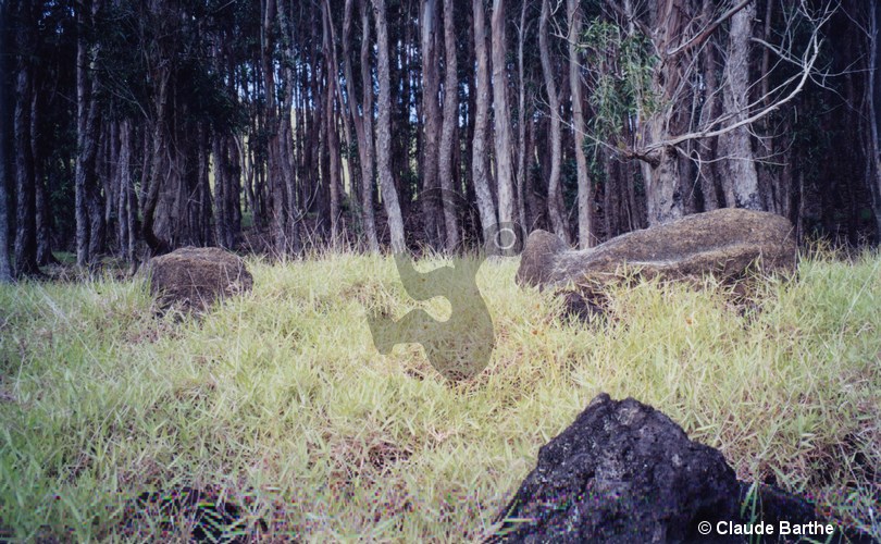 image01