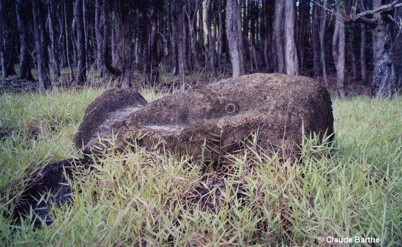 image02