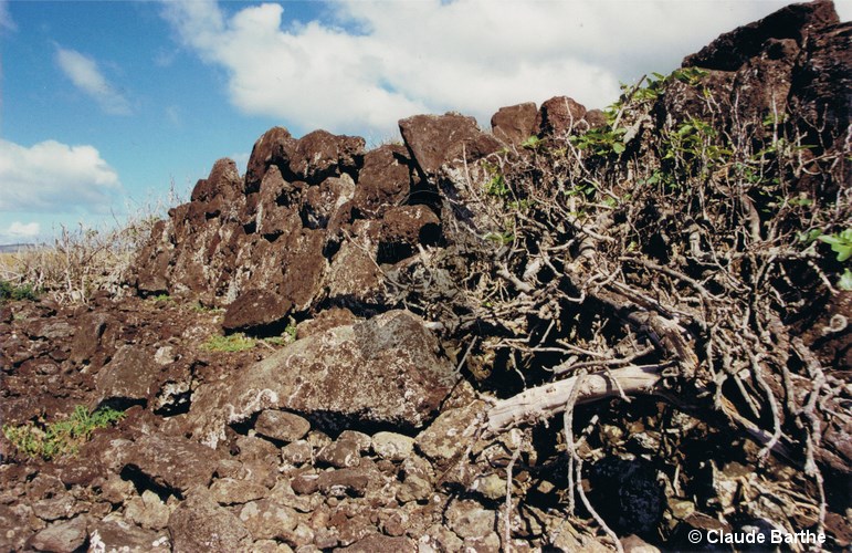 image02