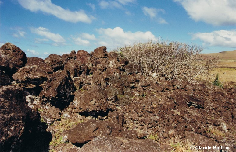 image03