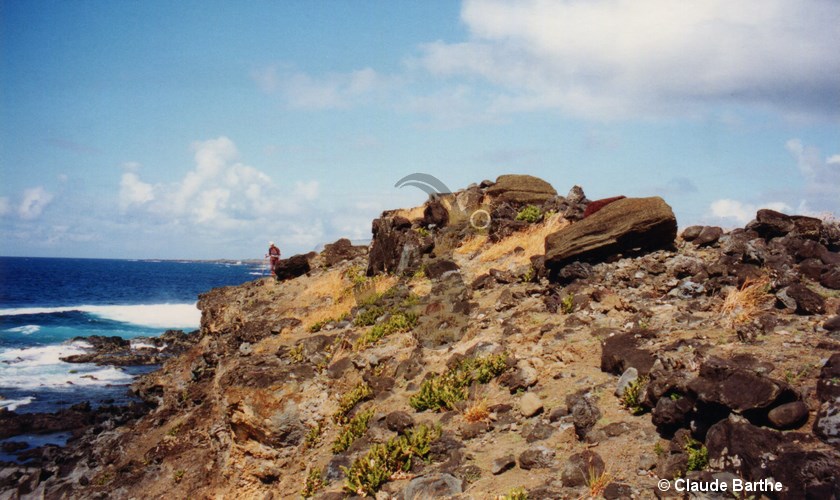 image02