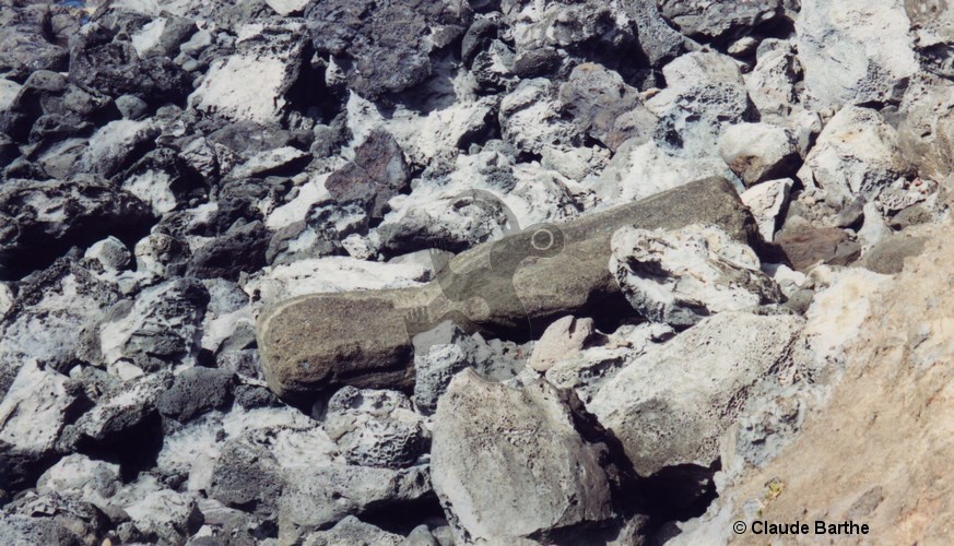 image05