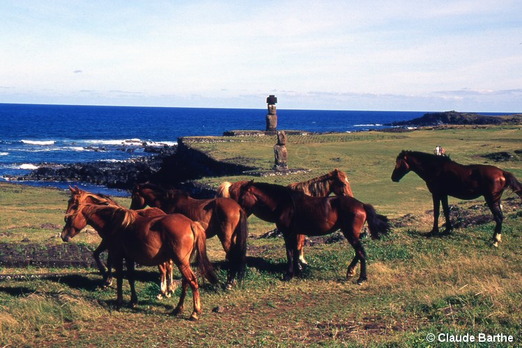 image02