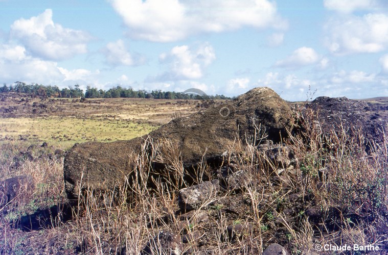 image01