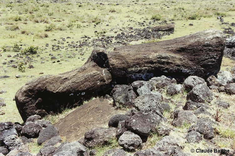 image03