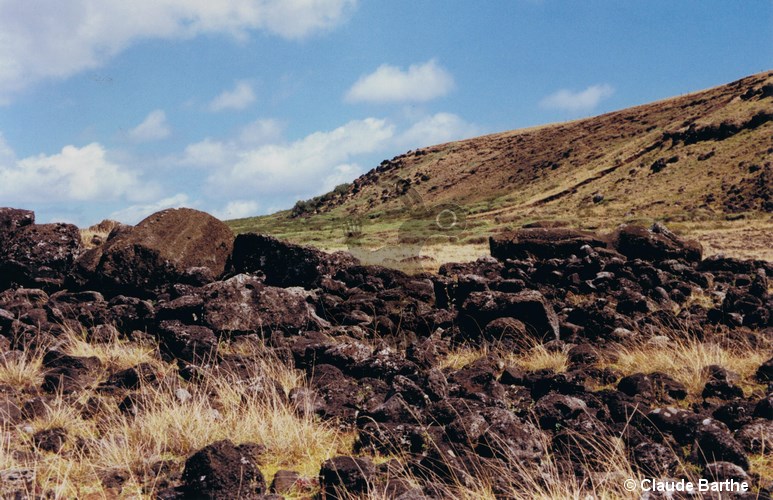 image02