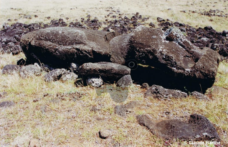 image03