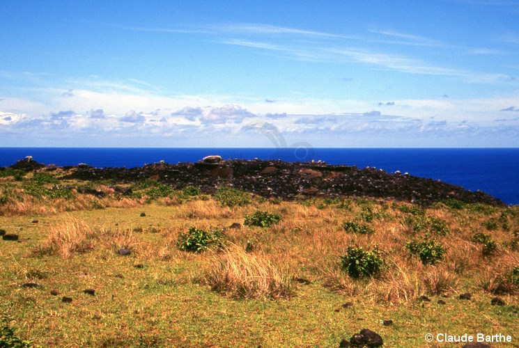 image02