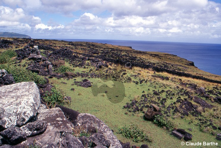 image14