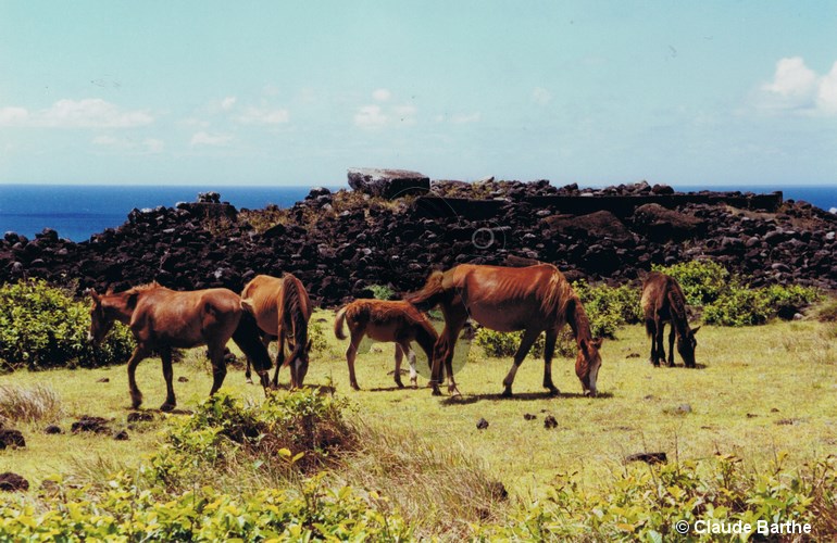 image03