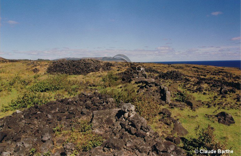 image16