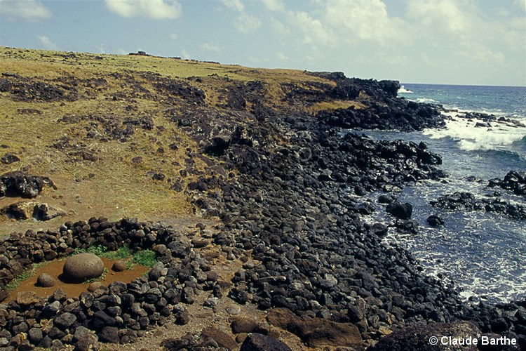 image14