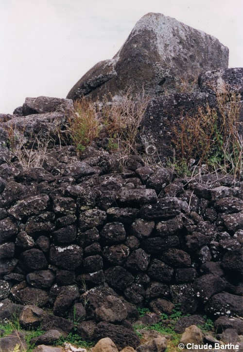 image06
