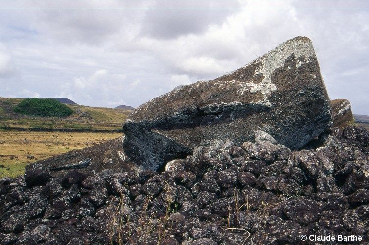 image05