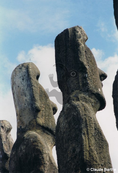image28