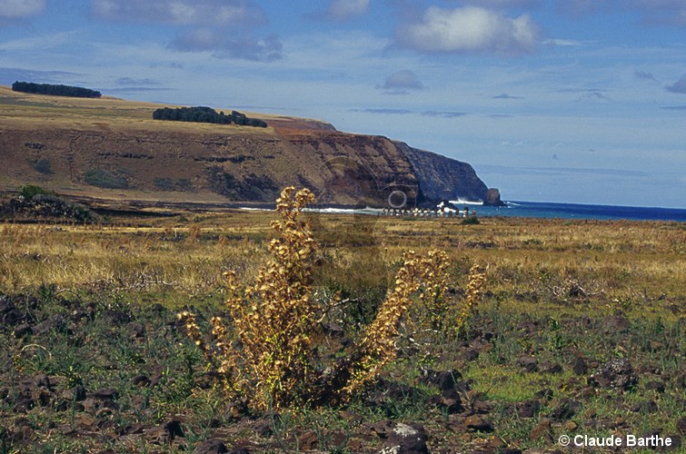 image02