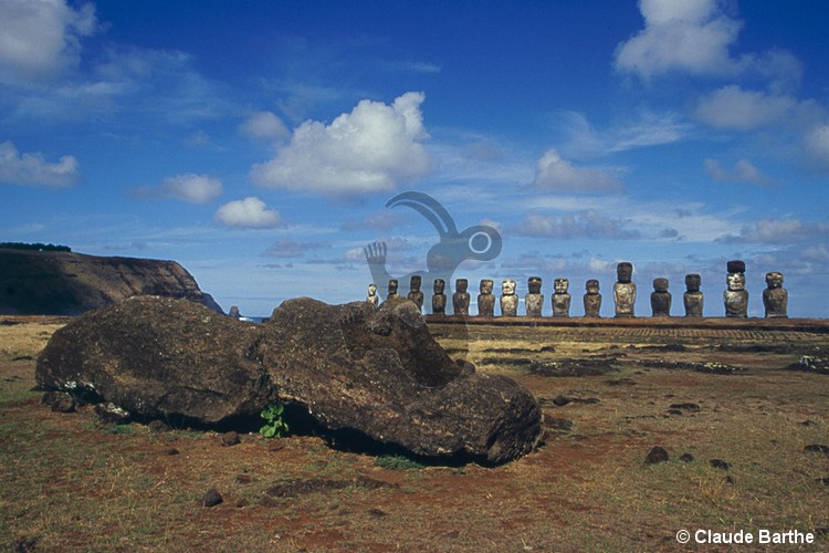 image08
