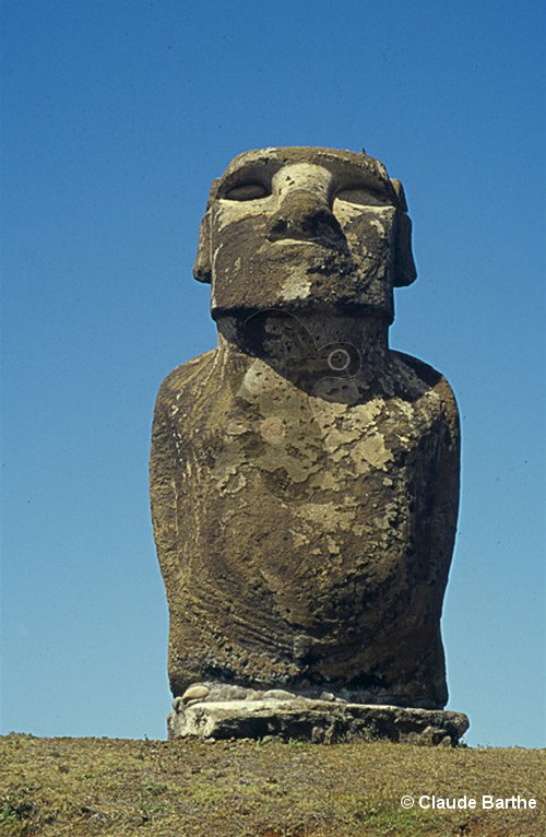 image24