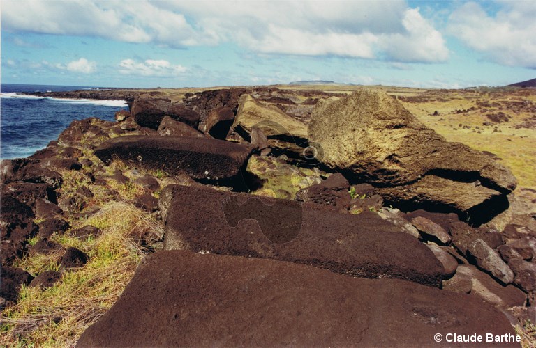 image05