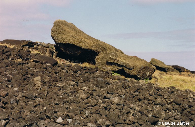 image06