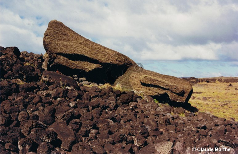 image07