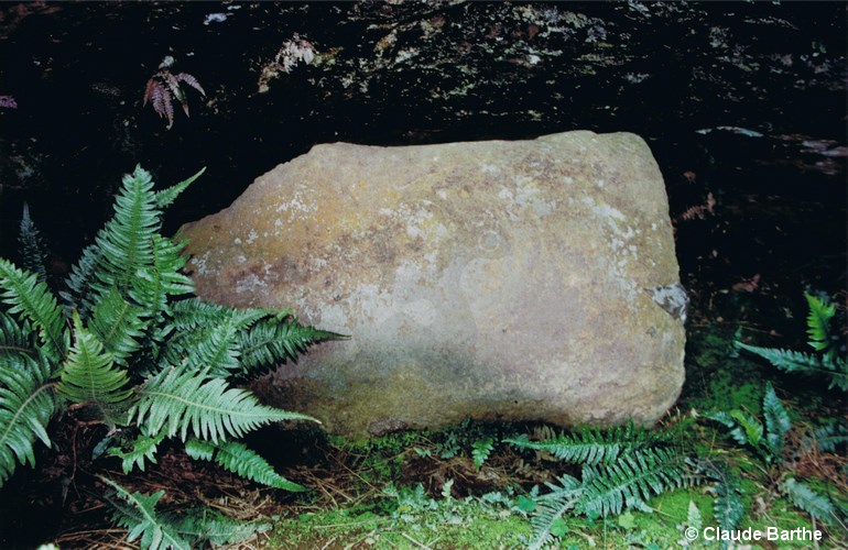 image02