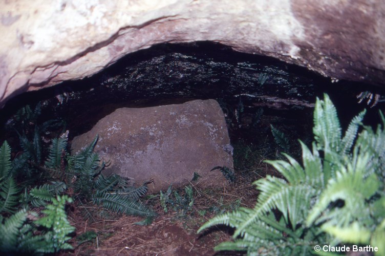 image01