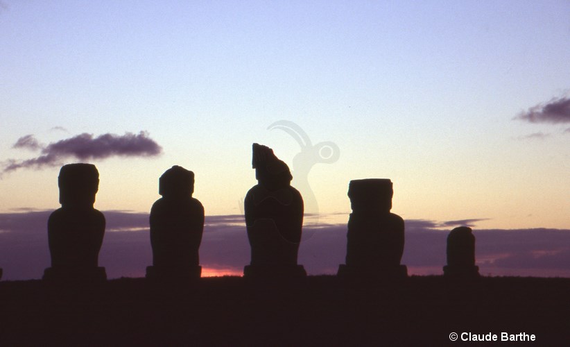 image09