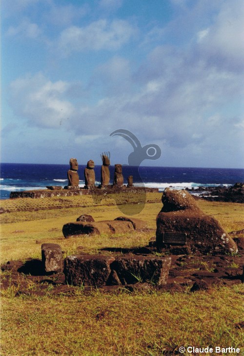 image06