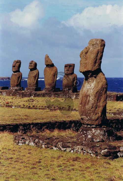 image07